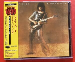 ジェフ・ベック JEFF BECK BLOW BY BLOW