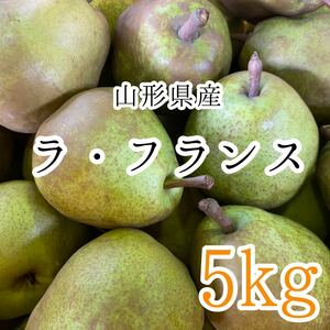 1ラフランス 5kg 2480円 山形県産 訳あり家庭用