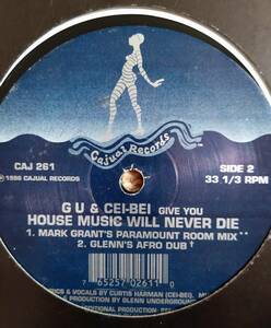 G U & Cei-Bei House Music Will Never Die/glenn underground