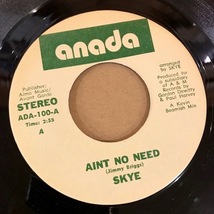 激レア 7■SKYE AINT NO NEED■ANADA ADA-100■MODERN SOUL/DISCO■US ORIGINAL■_画像1