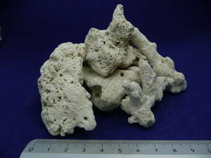  new goods rare goods * natural coral sand #50( approximately 50mm)20kg< bottom sand * filter media * appreciation for >