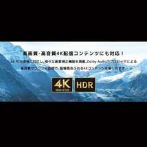 新品■送料無料■チューナーレステレビ SAUD501 [50V型 /4K対応 /YouTube対応] 【TVチューナー非搭載】 _画像9