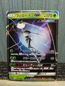 ポケモンカード フェローチェGX ファストレイド クルーエルスパイク 草ポケモン ポケカ ウルトラビースト ビューティGX SM4