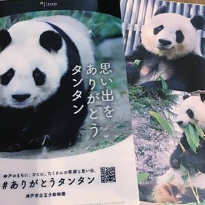 タンタンを語る会　動物サポーター　王子動物園　クリアファイル　タンタンメモ