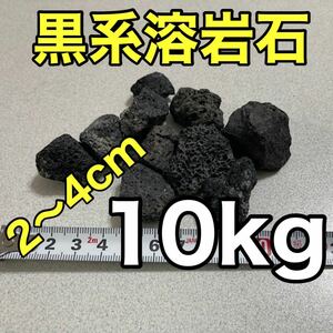 溶岩石 黒系 アクアリウム低床 ろ材 観葉植物 多肉植物 水槽レイアウト 盆栽