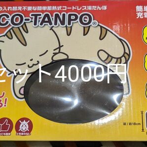 セット割有り！繰り返し使える充電式湯たんぽ（茶）ECO-TANPO　カイロ