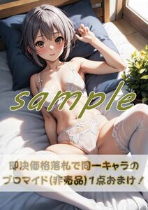 2694 長門有希 涼宮ハルヒの憂鬱 (2)A4 同人 イラスト 巨乳 美少女 コスプレ Anime アニメ イラストアートポスター セクシーアート acg