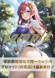 2315 ミーア キャンベル 機動戦士ガンダム SEED (8)A4 同人 イラスト 巨乳 美少女 コスプレ Anime アニメ セクシーアート acg