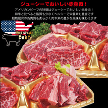 【送料無料】 嬉しいプレゼントにも牛肉焼肉カルビ食べ比べ５点盛り合わせ1kｇ※2セット同時購入で肉500g増量中 赤身からジュージな_画像3