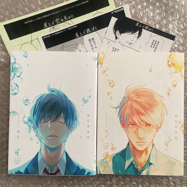 苑生 被写界深度 上下巻 特典 ペーパー 初版