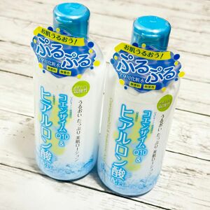 コンザイムQ10＆ヒアルロン酸 保湿 化粧水 500ml ×2