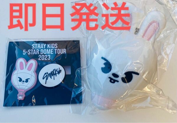 straykids スキズ　リノ　skzooリービット　バッグチャーム　ラバークリップセット