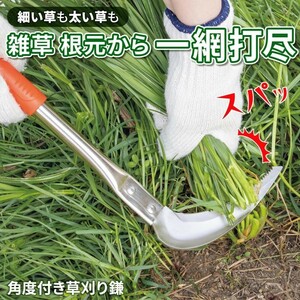 角度付き草刈り鎌 草刈り 鎌 雑草 草むしり ガーデニング 園芸 用具 庭 畑 除草 掃除 ギザ刃 直刃 ステンレス コンクリート ビニール紐