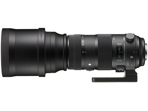 【2日間から~レンタル】SIGMA 150-600mm F5-6.3 DG OS HSM Sports 望遠レンズCanon一眼レフ用 EFマウント【管理CL19】