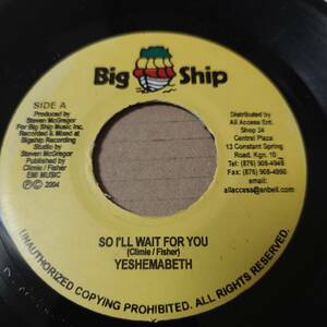 Yeshemabeth McGregor - So I'll Wait For You / 父もカバーした名曲！！ // Big Ship 7inch / Lovers / Freddie