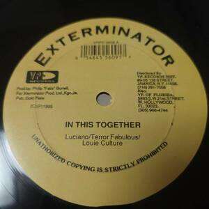 Luciano & Terror Fabulous & Louie Culture - In This Together / Sizzla - I Wonder // XTerminator 12inch