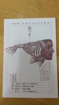 「突飛なるものの歴史」ロミ 著、高遠弘美 訳、平凡社、ほぼ新品_画像7