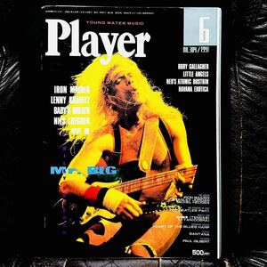 【Player プレイヤー 1991年6月号】平沢進 IRON MAIDEN LENNY KRAVITZ BABY'S BREATH NILS LOFGREN RORY GALLAGHER LITTLE ANGELS