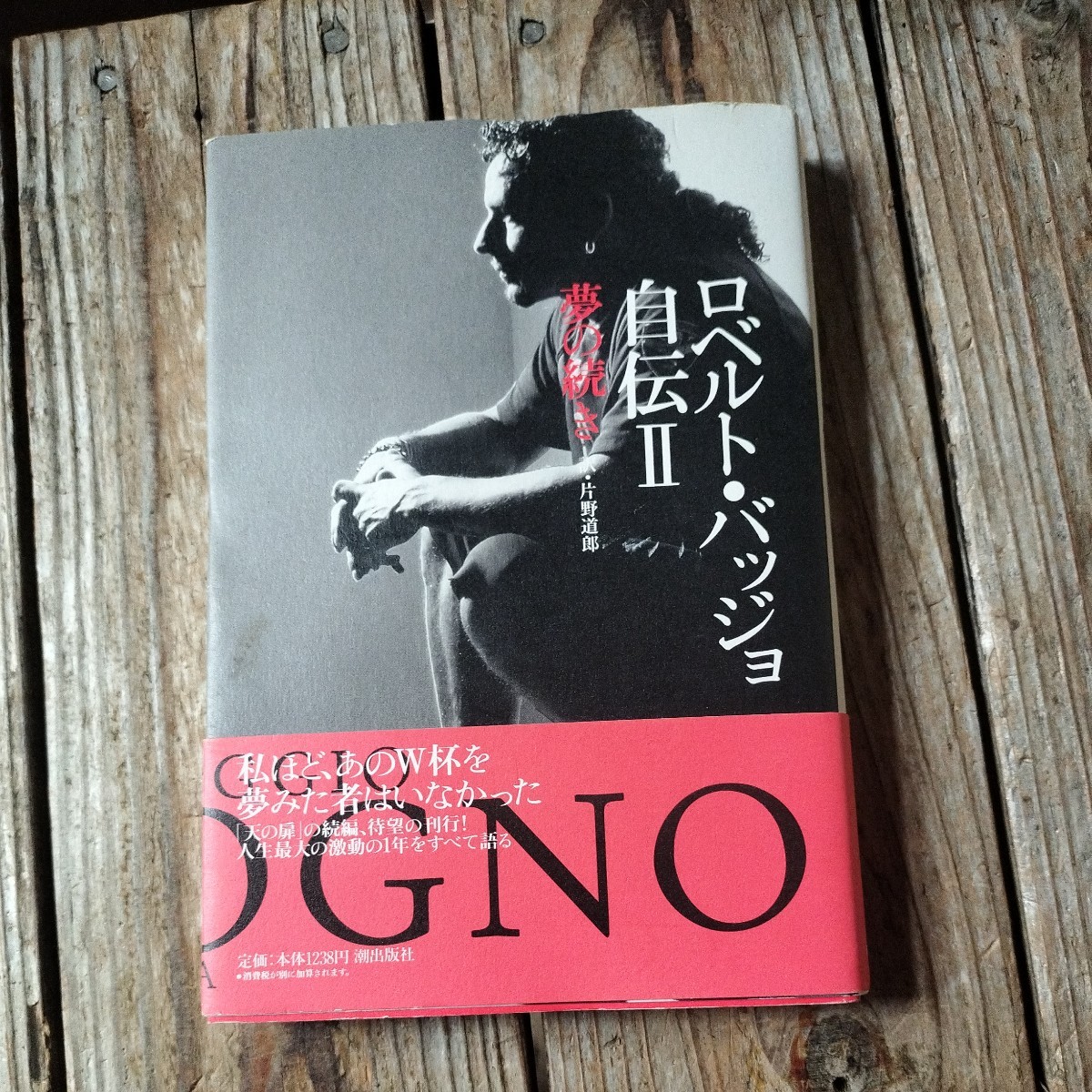 2025年最新】Yahoo!オークション -バッジョ(本、雑誌)の中古品