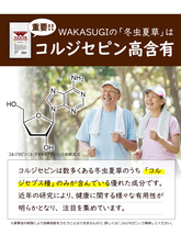 Ｗ冬虫夏草粒 60粒 6袋セット計360粒　1日4粒で約3か月分 価値あるコルジセピン高含有の冬虫夏草に12種のきのこ ヒハツ配合_画像6