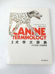 【誠文堂新光社】『図説 犬学大辞典』 犬の形態と用語解説 ハロルド R.スパイラー/著 大野淳一/訳 監修 中古品 JUNK 現状渡し 一切返品不可