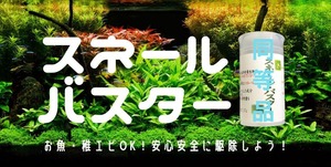 ★大容量★ 絶対に…駆逐してやる! エビ魚に無害 スネールバスター キラースネイル 50g 計量スプーン付 水草その前に プラナリア スネイル