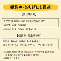 真空パック冷凍　どじょう（ドジョウ）SSサイズ　500g ◆送料最安値◆同梱何個でもＯＫ◆　古代魚、肉食魚の餌に　釣り　冷凍えさ_画像6