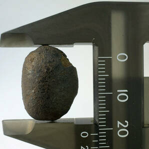 【E23358】 約7.3ｇ チェリャビンスク隕石 石質隕石 コンドライト 隕石 メテオライト チェリャビンスク