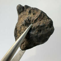 【E23351】 約6.6ｇ チェリャビンスク隕石 石質隕石 コンドライト 隕石 メテオライト チェリャビンスク_画像6