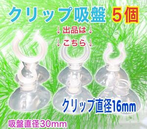 クリップ吸盤 直径16mm 5個セット キスゴム アクアリウム 水槽