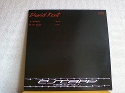 ハウス David Kent / Madness 12インチです。