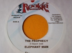 レゲエ Elephant Man / The Prophecy 7インチです。