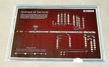 ②貴重　珍《ヤマハ　フルート　アナトミー　クリアファイル》　:管楽器　吹奏楽　オーケストラ_画像1