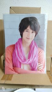 ◆『Hey！ Say！ JUMP　LIVE TOUR 2014　smart　八乙女光　A4クリアファイル』◆