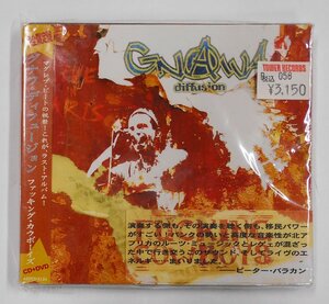 CD Gnawa Diffusion グナワ・ディフュージョン / ファッキング・カウボーイズ CD+DVD 完全限定盤 【ス259】