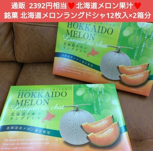 北海道 銘菓 北海道メロン ラングドシャ 12枚入 ×2箱分 菓子 チョコ メロン