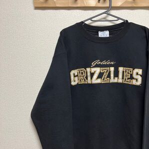 スウェットトレーナーUS古着チャンピオン カレッジロゴ クルーネック