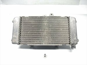 F1R6-0118 ホンダ ホーネット250 ラジエター ファン付 純正品 【MC31-125～ 中期モデル 動画有】