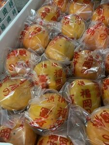 冷蔵柿 2L～Sサイズ　1箱　福岡県産　送料無料！　