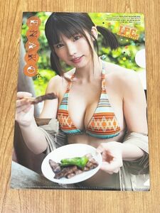 e.. both sides clear file 1 sheets unused goods Young Champion . appendix 