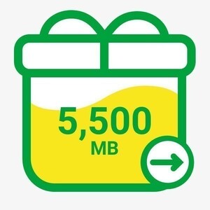 mineo★約5.5GB(5,500MB)★パケットギフト