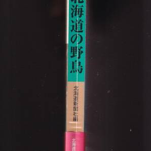 ☆『北海道の野鳥 単行本 』北海道新聞社 (編集)野鳥観察、探鳥ガイド、バード・ウォッチング 76％Offの画像2