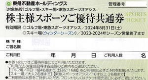  ■即決■１～９枚有■東急不動産ホールディングス株主優待券　スキー場(ウインターシーズン)他■