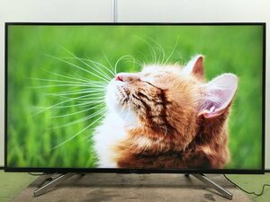 美品 SONY ソニー BRAVIA ブラビア 4K液晶テレビ 49型 外付けHDD スマートスピーカー連携 ドルビーアトモス KJ-49X8500G 2019年製 YD01052N