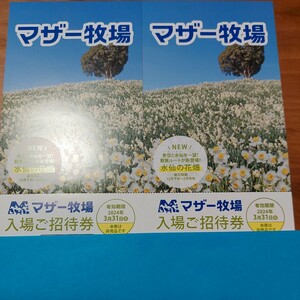 送料無料☆マザー牧場☆入場ご招待券☆2枚☆期限2024年3月31日