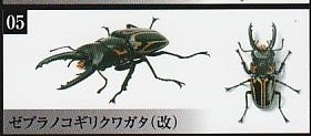 いきもの大図鑑 くわがた07　ゼブラノコギリクワガタ(改)1種単品