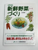 イラスト新鮮野菜づくり　カラー版　山田貴義　2007年1月　新潟みやい農業協同組合　家庭菜園　ガーデニング【H68252】_画像1