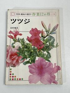 ツツジ　NHK趣味の園芸・作業12カ月⑭　1982【H69061】