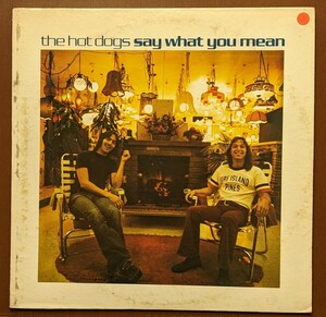 SWAMP スワンプ名盤 HOT DOGS / SAY WHAT YOU MEAN 米国プロモ盤中古レコード TERRY MANNINGプロデュース&参加
