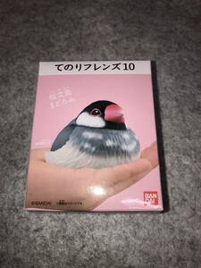 桜文鳥 まどろみ てのりフレンズ10 新品未開封品 バンダイ 食玩